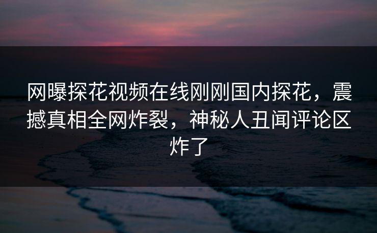网曝探花视频在线刚刚国内探花，震撼真相全网炸裂，神秘人丑闻评论区炸了  第1张