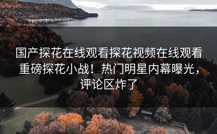国产探花在线观看探花视频在线观看重磅探花小战！热门明星内幕曝光，评论区炸了  第1张