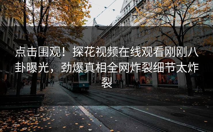 点击围观！探花视频在线观看刚刚八卦曝光，劲爆真相全网炸裂细节太炸裂  第1张