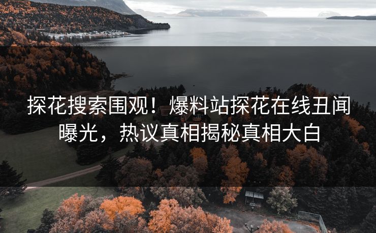探花搜索围观！爆料站探花在线丑闻曝光，热议真相揭秘真相大白