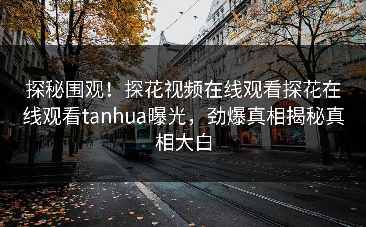 探秘围观！探花视频在线观看探花在线观看tanhua曝光，劲爆真相揭秘真相大白