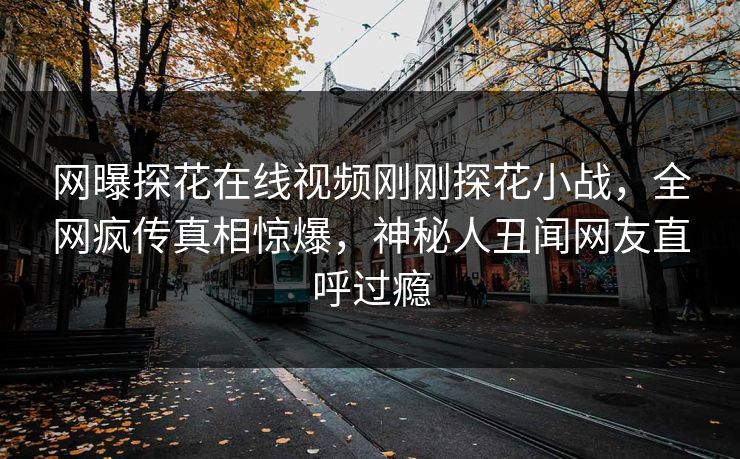 网曝探花在线视频刚刚探花小战，全网疯传真相惊爆，神秘人丑闻网友直呼过瘾