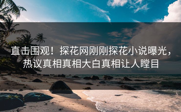 直击围观！探花网刚刚探花小说曝光，热议真相真相大白真相让人瞠目