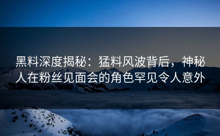 黑料深度揭秘：猛料风波背后，神秘人在粉丝见面会的角色罕见令人意外  第1张