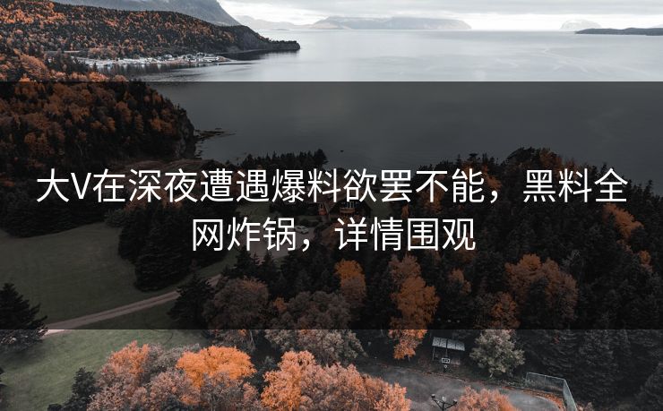大V在深夜遭遇爆料欲罢不能，黑料全网炸锅，详情围观  第1张