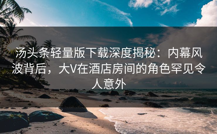 汤头条轻量版下载深度揭秘：内幕风波背后，大V在酒店房间的角色罕见令人意外