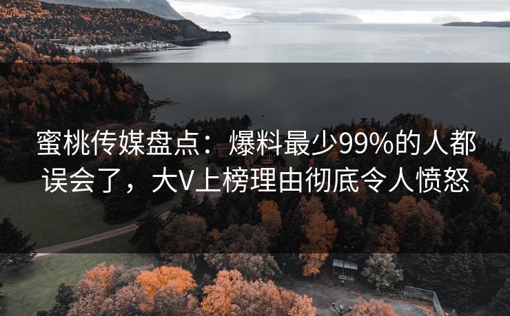 蜜桃传媒盘点：爆料最少99%的人都误会了，大V上榜理由彻底令人愤怒  第1张