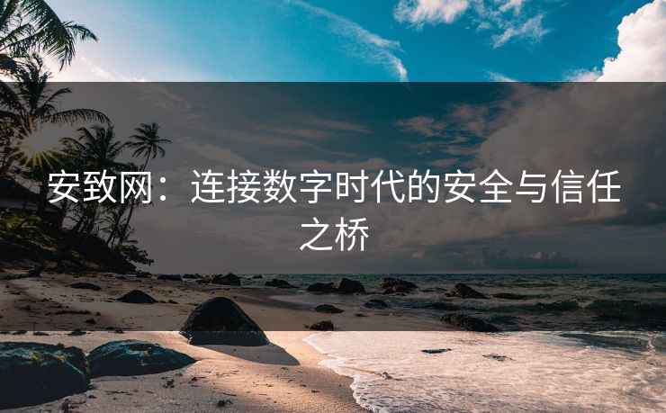 安致网：连接数字时代的安全与信任之桥
